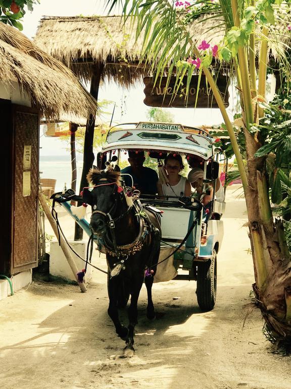 Villa Ardi Beltza Gili Air Buitenkant foto